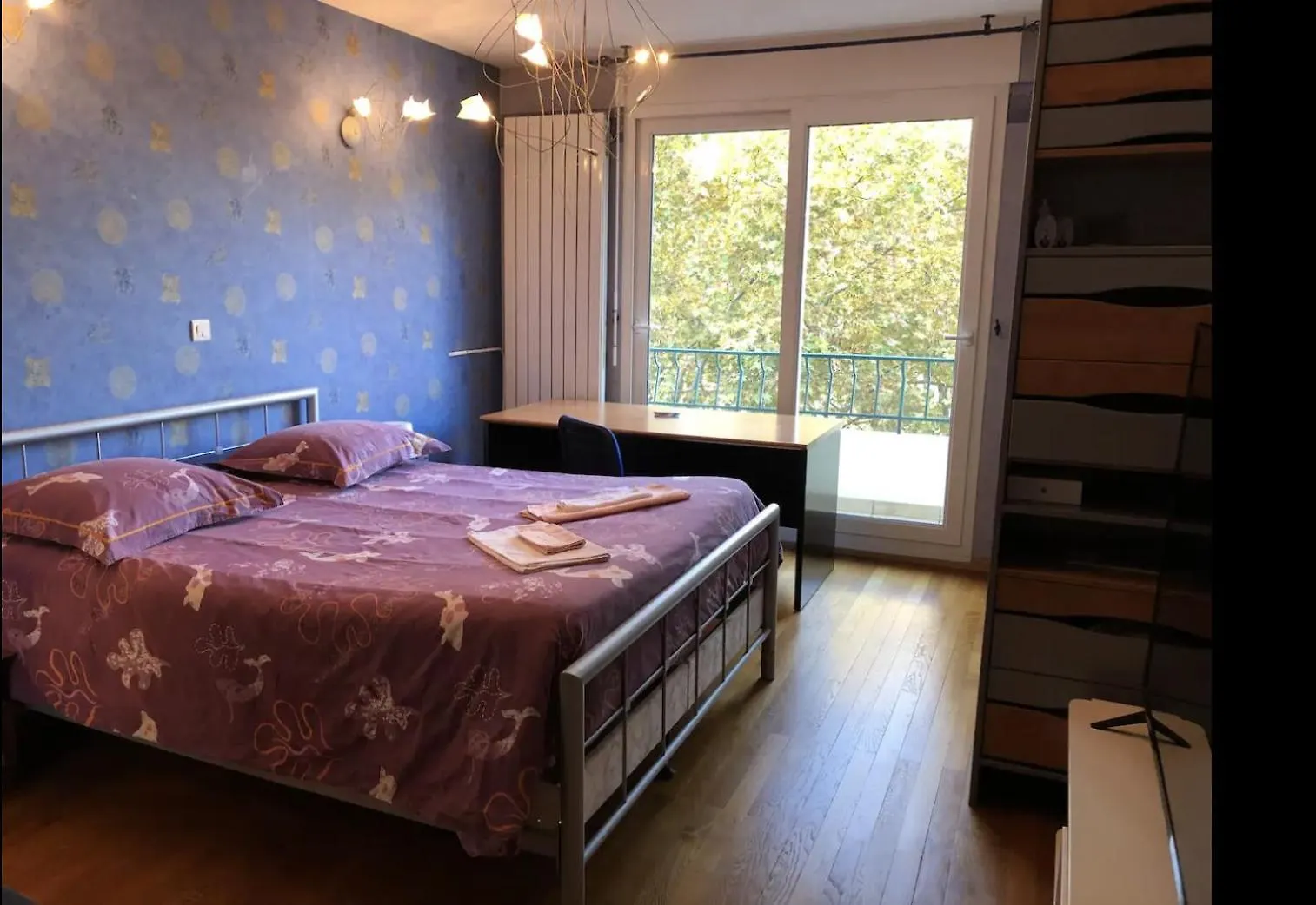 Appartement Avec Vue Sur Le Parc De La Tete D'Or Lyon Apartment